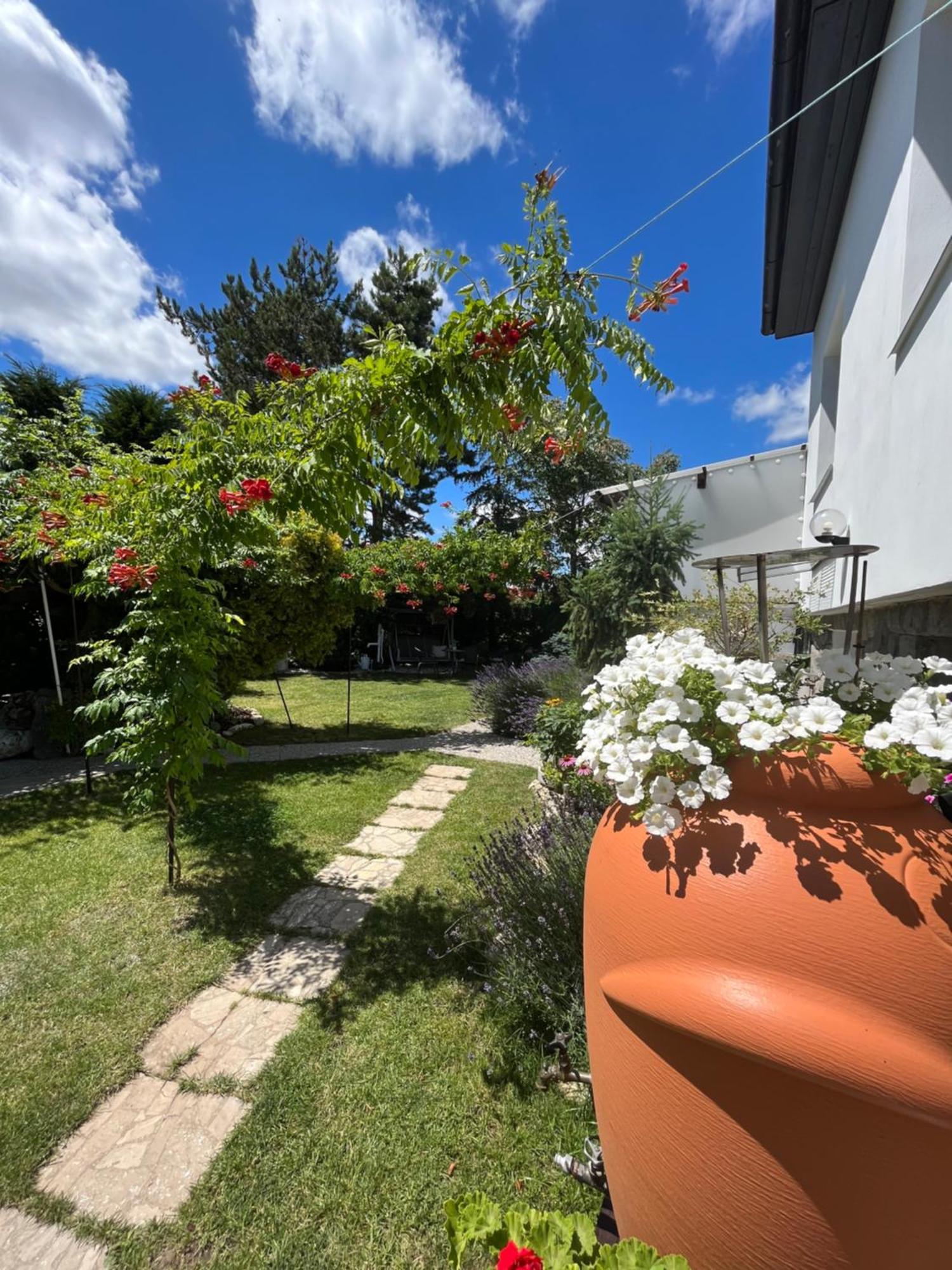 Relaxacni Studio Vera S Ubytovanim Valtice Exterior photo