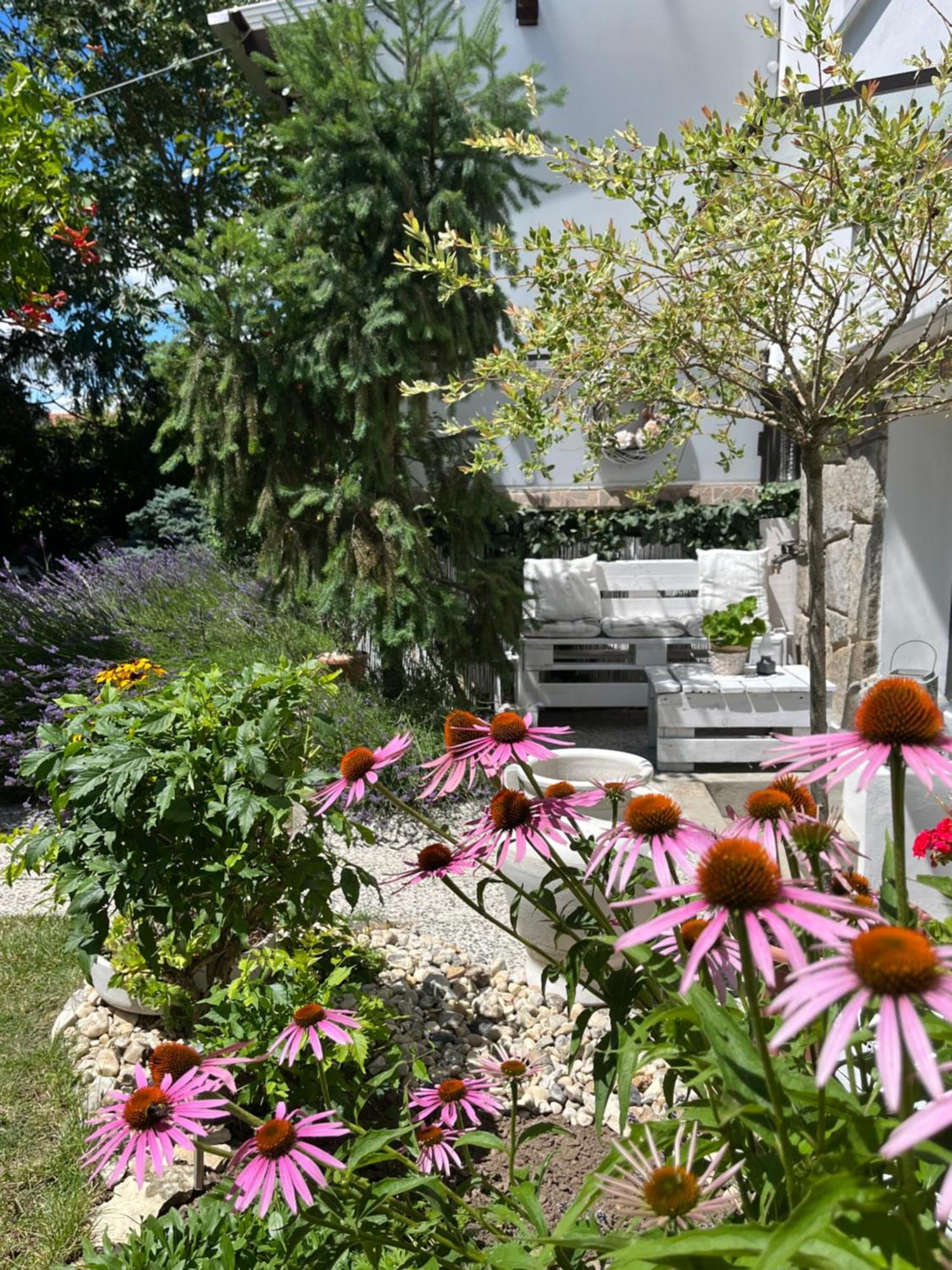 Relaxacni Studio Vera S Ubytovanim Valtice Exterior photo